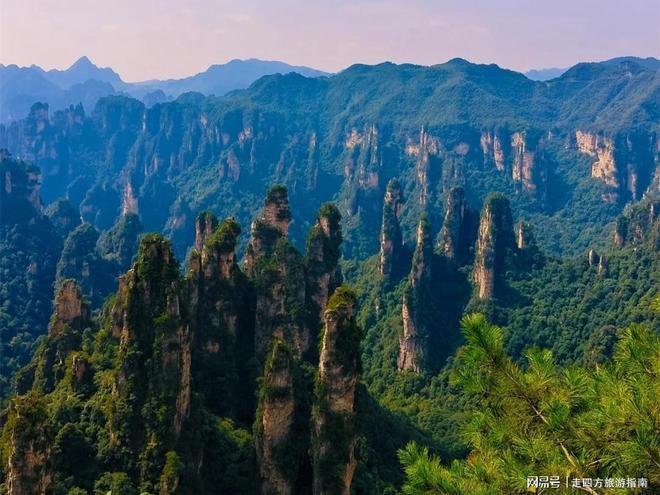 去张家界五天四晚怎么安排最合理？2025超详细景点路线+跟团报价(图3)