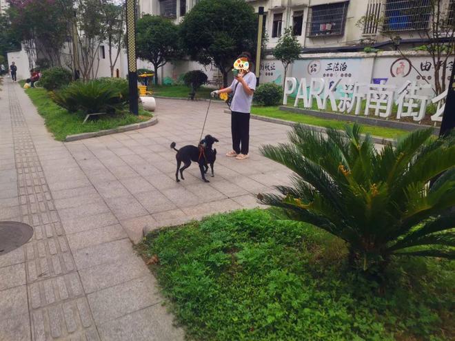 救命！南溪公园小心“地雷阵”那酸爽谁懂啊！(图1)