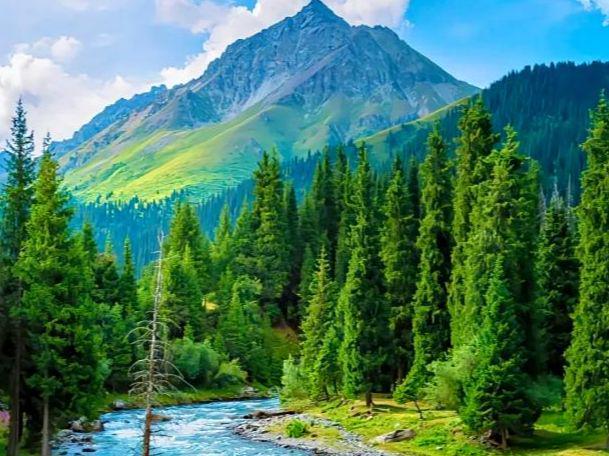 跟团去新疆旅游8天要多少钱？旅游团8日游价格表+亲子游攻略来了(图3)