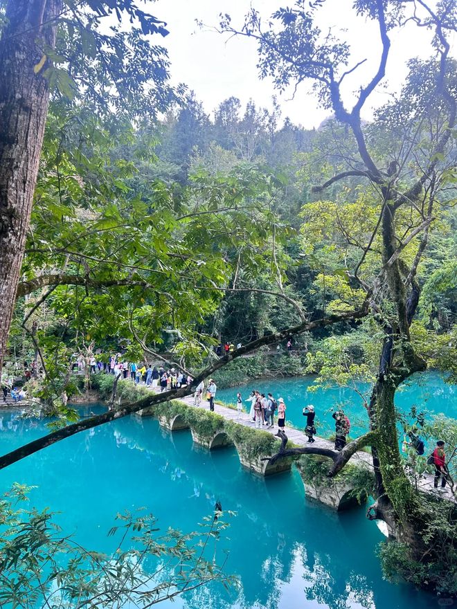 贵州跟团6日游纯玩团分享贵州六天五晚当地导游推荐本人亲测(图2)