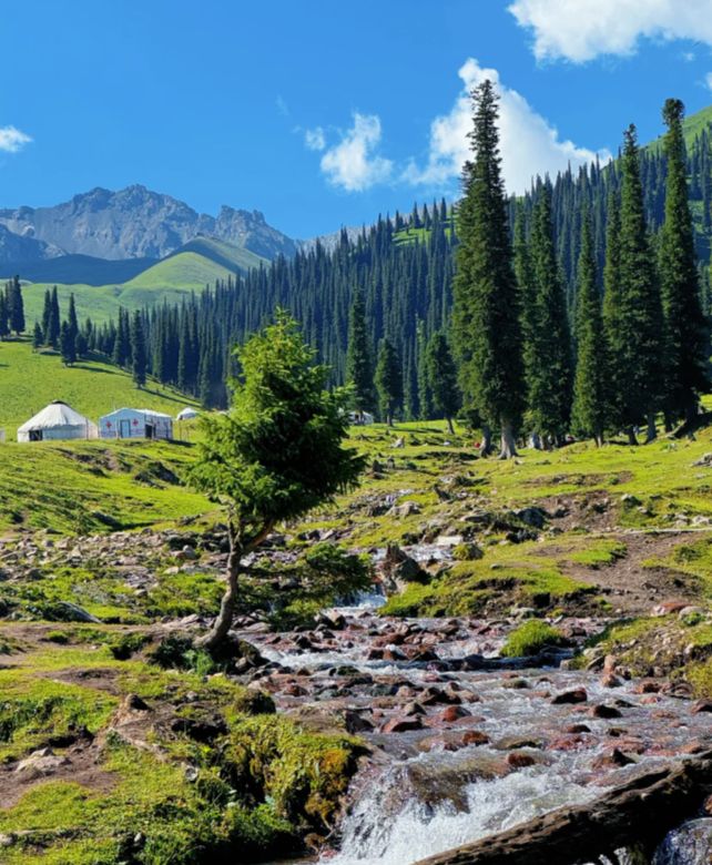 新疆旅游8天7晚深度游攻略土著向导私藏路线吃住行全解析(图1)