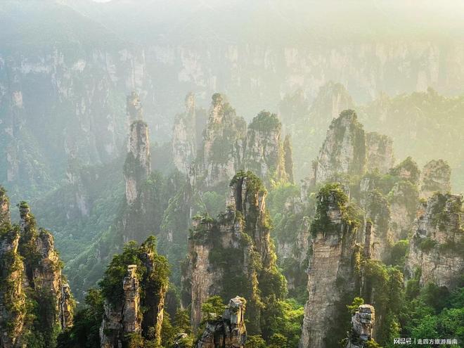 去张家界五天怎么玩攻略？带娃玩森林公园凤凰古城靠谱地接避坑(图3)