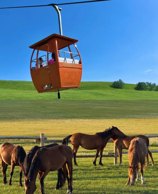 内蒙四日游怎么安排？六大必打卡景点+超全攻略照着玩不踩坑！(图3)