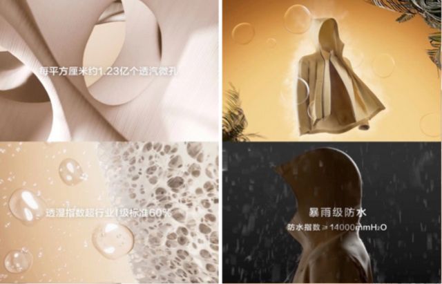 FILA斐乐品牌：高端运动时尚驱动超预期增长(图12)