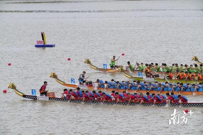 开扒！广东超全“睇龙船”指南来了→分享给亲友(图6)