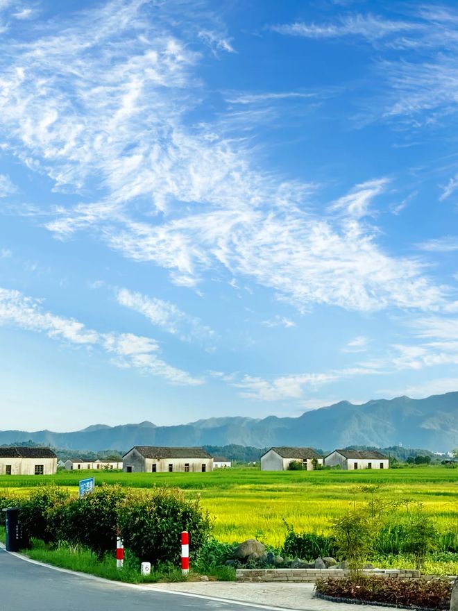 黄山4天3晚报团价格是多少？黄山四日旅游路线怎么安排划算？(图4)