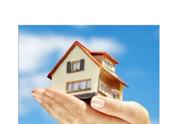 全网十五傻看里面有你吗？最后一傻傻到冒烟一个不占睿智之人(图10)