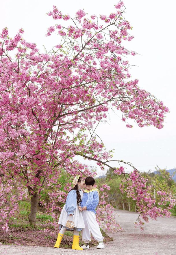 重庆旅游路线晚费用重庆导游小洁精品小团电话(图2)